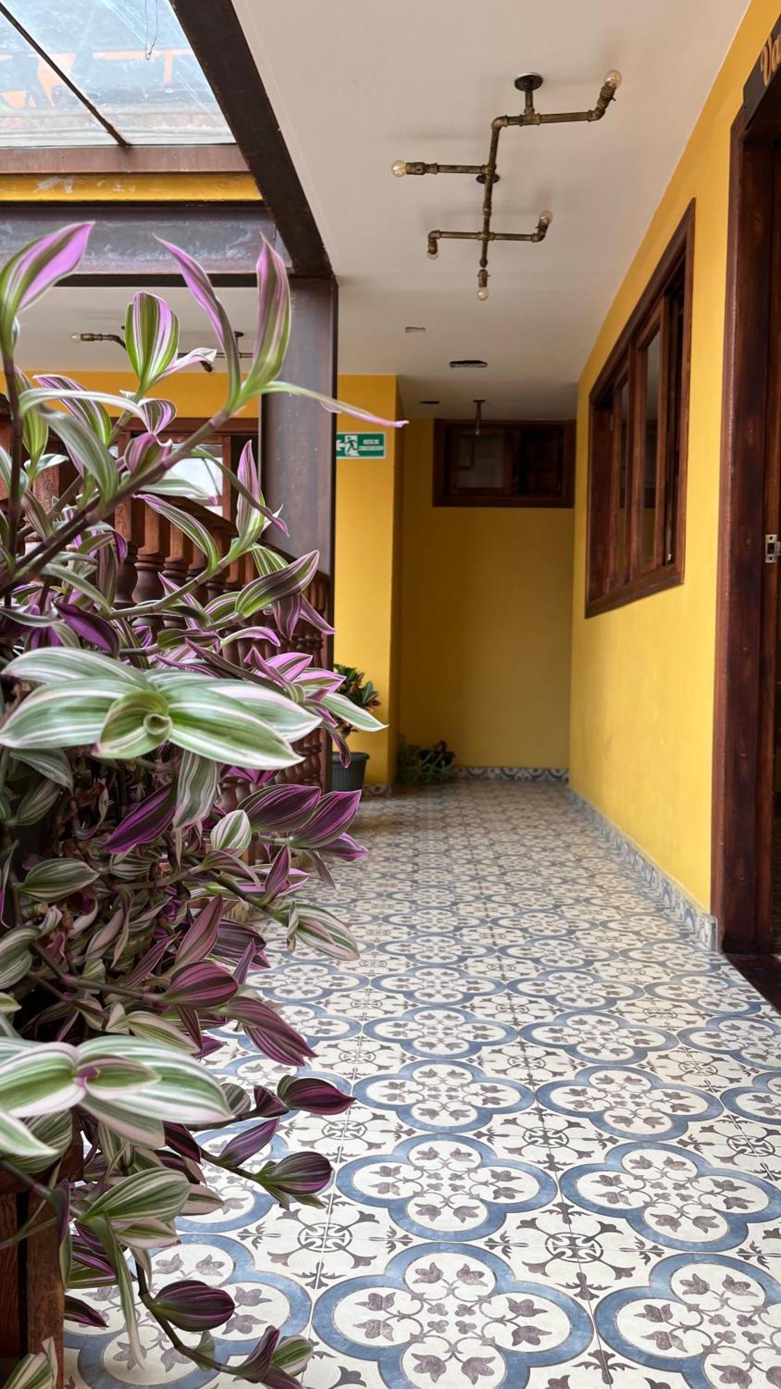 Hostal Casa Astromelia Bogota Exterior photo